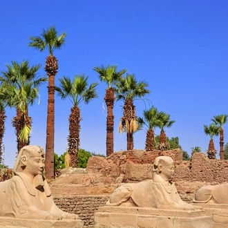 tourhub | Sun Pyramids Tours | 2 Days Tour to Cairo & Luxor from Marsa Alam by Flight 