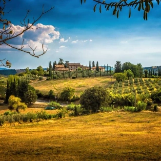 tourhub | Angel Wine Experiences | The Best Wines of Tuscany in 5 Exclusive Days from Florence 