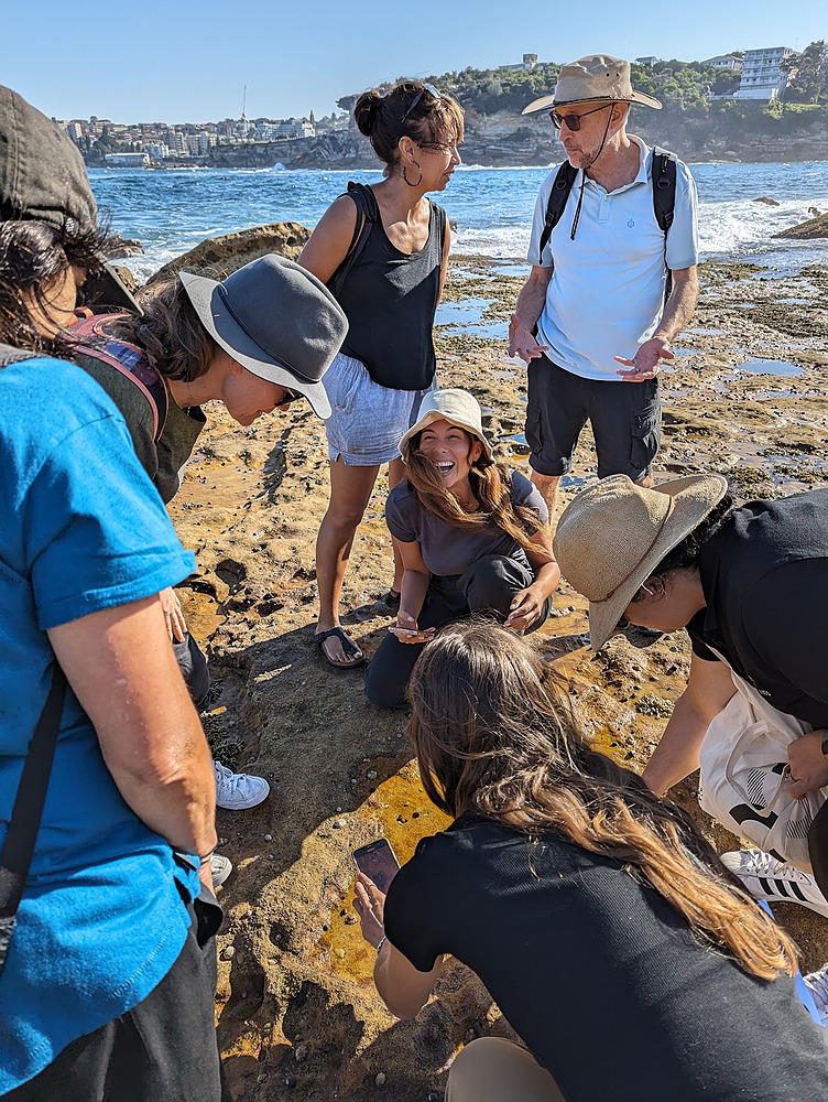 Rockpool exploration at Clovelly