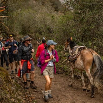 tourhub | Intrepid Travel | Peru: Trek the Inca Trail 4 Days 