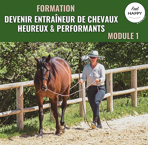 Représentation de la formation : Devenir entraîneur de chevaux heureux et performants - Module 1