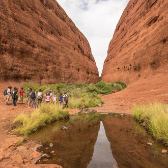 tourhub | Intrepid Travel | Uluru & Kings Canyon Family Adventure 