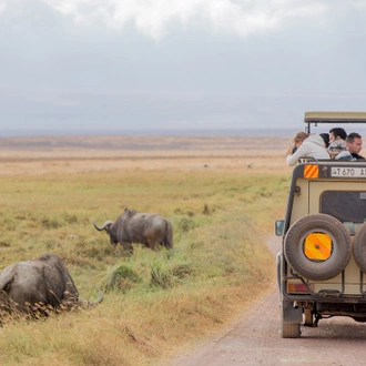 tourhub | Intrepid Travel | Premium Kenya & Tanzania 