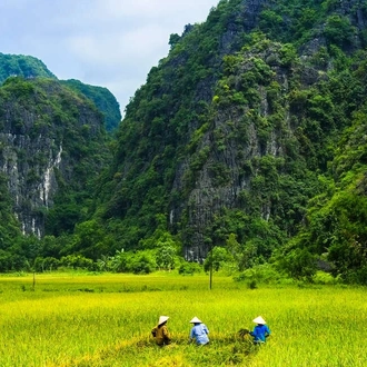 tourhub | Explore! | Upgraded - Discover Vietnam 