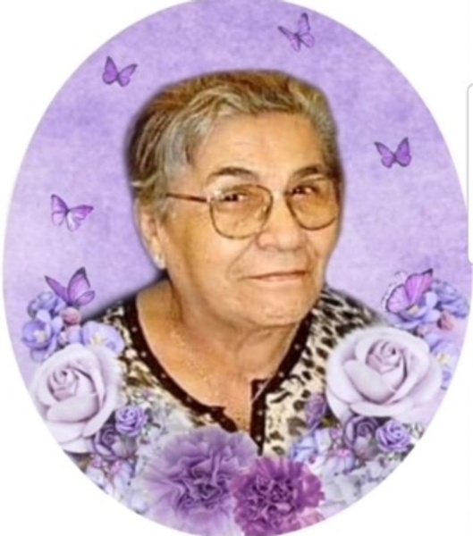 Berta del Carmen Alfaro Soto Profile Photo