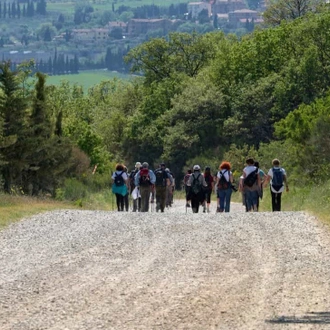 tourhub | Travel Department | Tuscany Walking Holiday 