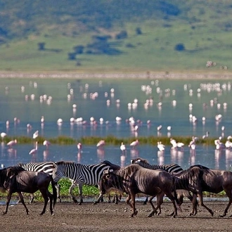 tourhub | Gracepatt Ecotours Kenya | Best 7 Days Kenya Adventure Wildlife Safari 