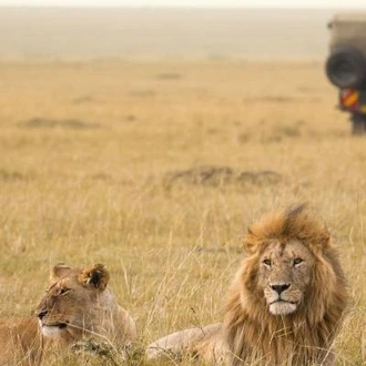 tourhub | On The Go Tours | Kenya Wildlife Wonders - 9 days 