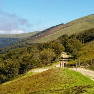 tourhub | The Natural Adventure | Camino Frances: O Cebreiro to Santiago 