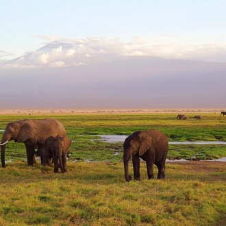 tourhub | Zara Tanzania Adventures | Best of Tanzania 9 days Luxury safari Package 