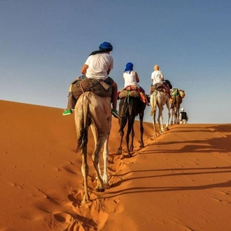 tourhub | Oasis Overland | CASABLANCA to MARRAKECH (14 days) Morocco Encompassed 