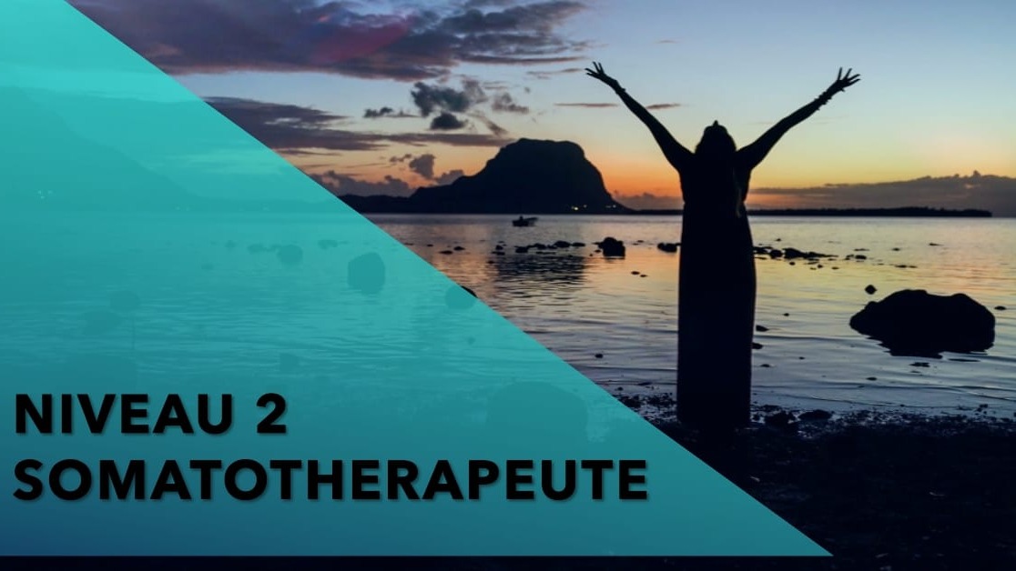 Représentation de la formation : Niveau 2.1 Somatothérapeute 