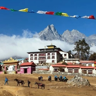 tourhub | Nepal Lion Tours and Treks | 14 Days Everest Base Camp – Kalapathar Trek 