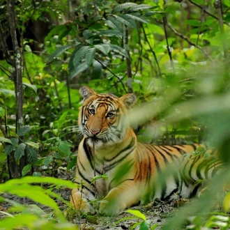 tourhub | Bamba Travel | Chitwan National Park Adventure 3D/2N (from Kathmandu) 