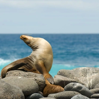 tourhub | Intrepid Travel | Classic Galapagos: Southern Islands (Grand Queen Beatriz) 