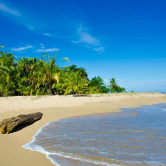 tourhub | Destination Services Costa Rica | Uvita Beach, Short Break 