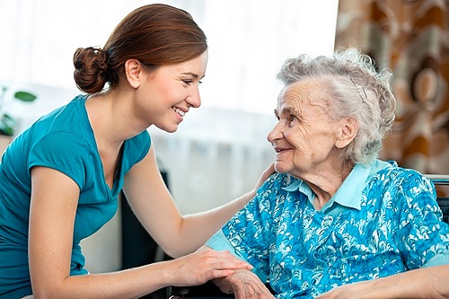 Représentation de la formation : Accompagnement à la VAE en présentiel - Titre professionnel Assistante de Vie aux Familles - 30 Heures