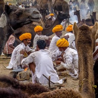 tourhub | Exodus Adventure Travels | Cycling Through Rajasthan 