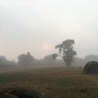 tourhub | Tanzania Wildlife Adventures | Walking Safari in the Ngorongoro Crater 