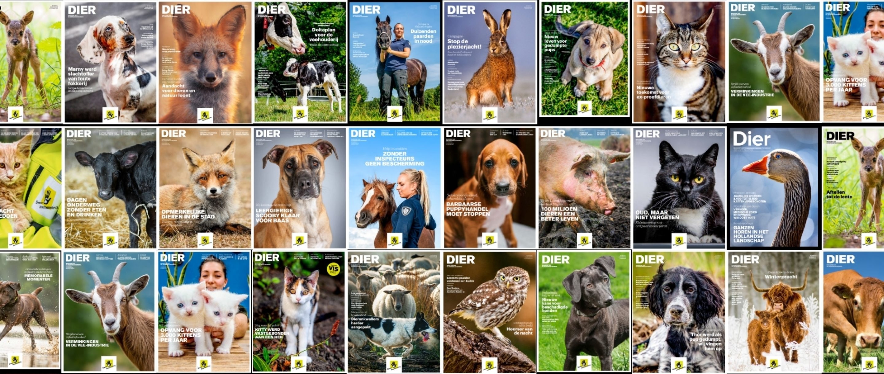 dierenbescherming banner