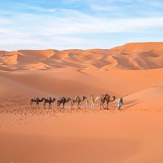 tourhub | VirSem Fun & Travel | Explore the Sahara: 7-Day Camel Trek Adventure in Tunisia 