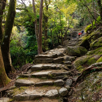 tourhub | Exodus Adventure Travels | Japan's Kumano Kodo 