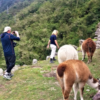 tourhub | TreXperience | Inca Trail to Machu Picchu 7 Days 6 Nights 