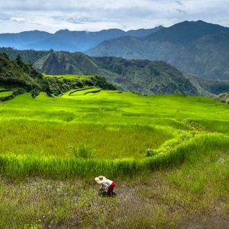 tourhub | Intrepid Travel | Northern Philippines Highlights 