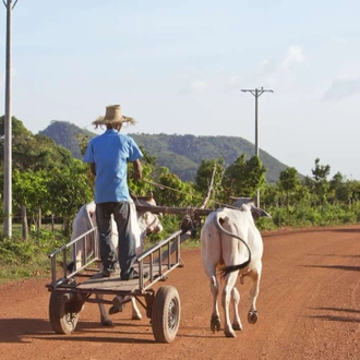 tourhub | Intrepid Travel | Cambodia Adventure 