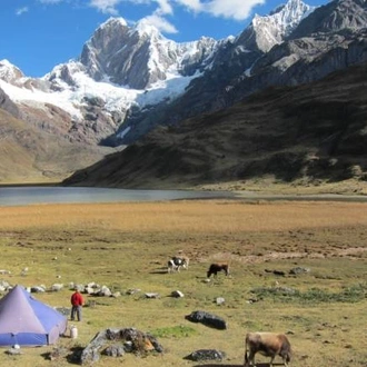 tourhub | World Expeditions | Huayhuash Circuit 