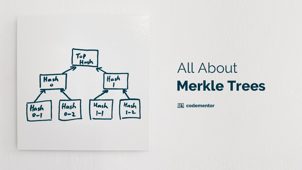 Merkle Trees: What They Are and the Problems They Solve