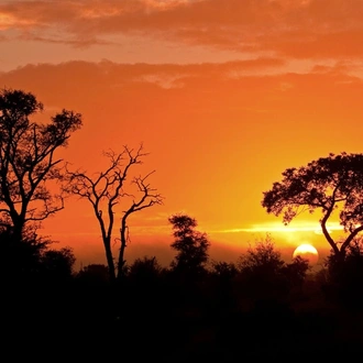 tourhub | Globus | Splendors of South Africa & Victoria Falls with Chobe National Park 