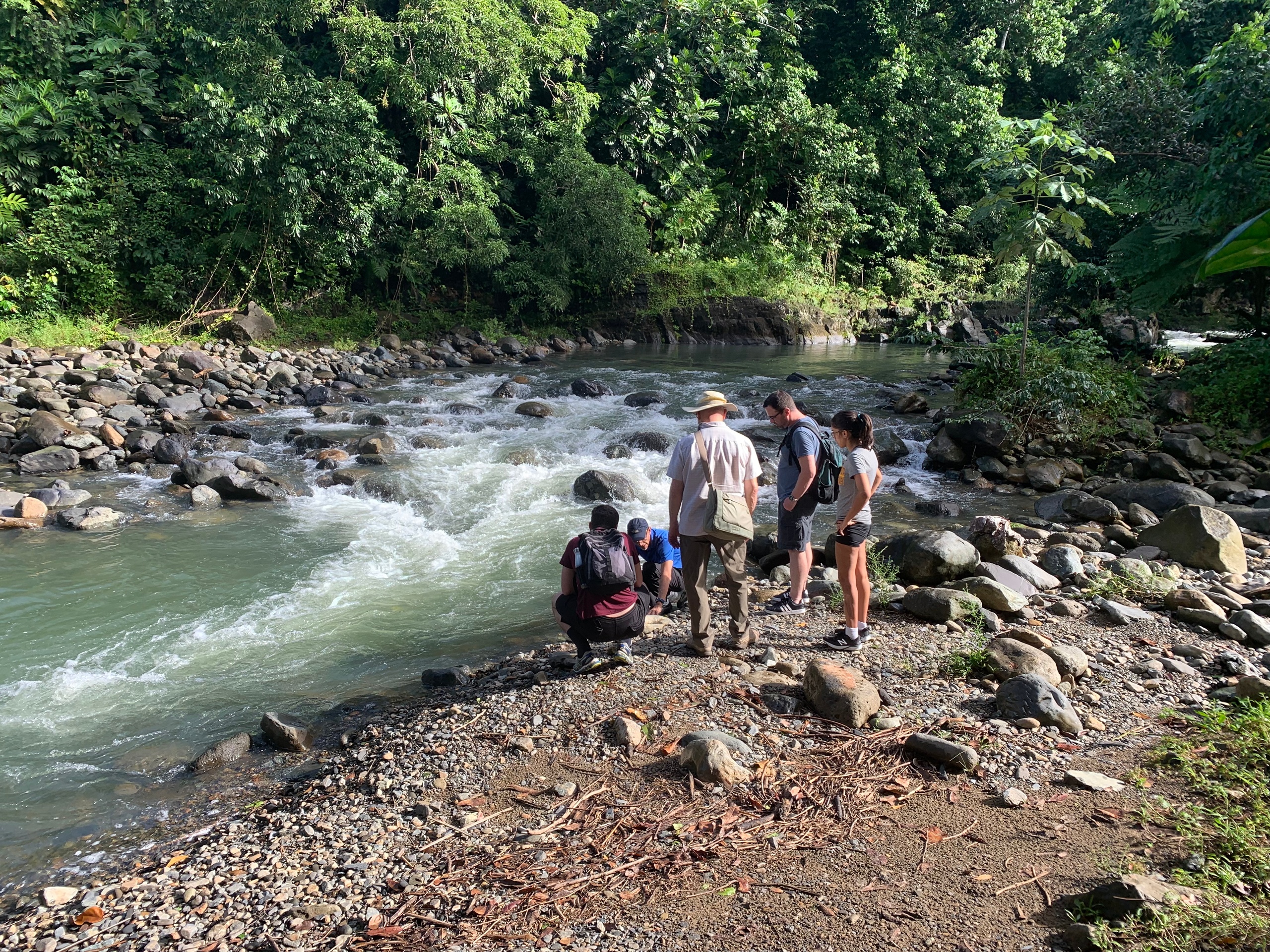 El Yunque National Forest & Luquillo Combo    