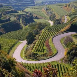 tourhub | UTracks | Rhine Valley Cycle 