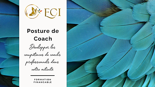 Représentation de la formation : Posture de Coach