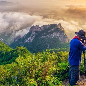 tourhub | Crooked Compass | Explore South Korea on Foot 