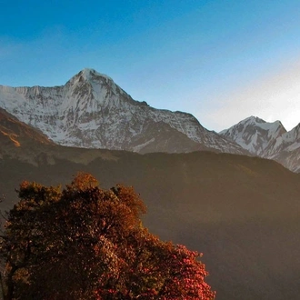 tourhub | Sherpa Expedition & Trekking | Annapurna Base Camp Trek 