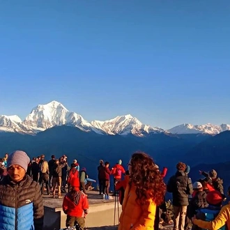 tourhub | Shepherd Holidays | Poon Hill Trek - Short & Easy Trek in the Himalayas  