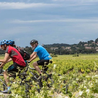 tourhub | Intrepid Travel | Cycle Provence 