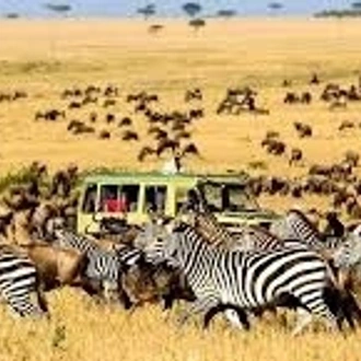 tourhub | Akondo Adventures | 5-Day Affordable Northern Tanzania Safari 