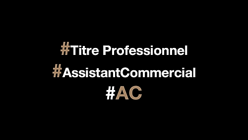 Représentation de la formation : Titre Professionnel Assistant Commercial 