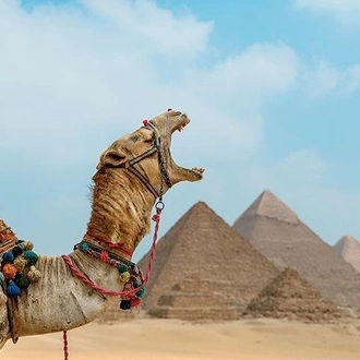 tourhub | Sun Pyramids Tours | Cairo and Nile Cruise Tour 