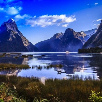 tourhub | Indus Travels | Picturesque Solo New Zealand Tour 