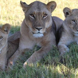 tourhub | Explore! | Botswana Wildlife Safari 