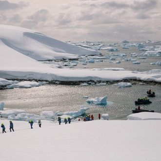 tourhub | Intrepid Travel | Best of Antarctica In Depth (Ocean Endeavour) 