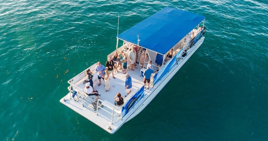 Luxury Catamaran Party Boat with Dolphin & Snorkel Tour, Reefs, Complimentary Snacks, Captain and More image 5