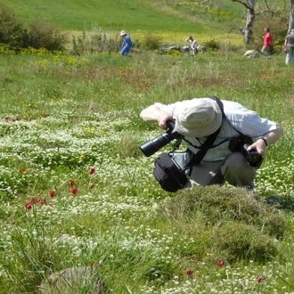 tourhub | Travel Editions | Spring Flowers of Crete Escorted Tour 