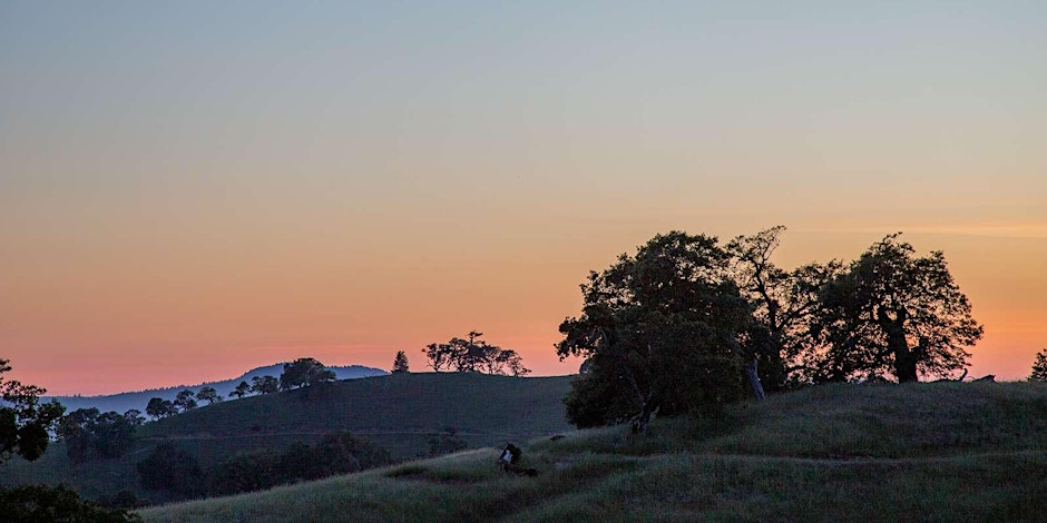 Hills at Whispertree