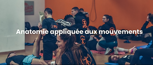 Représentation de la formation : Anatomie appliquée aux mouvements