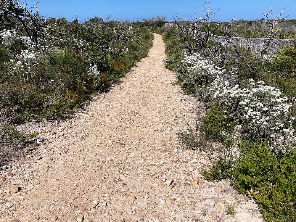 Walking track north head